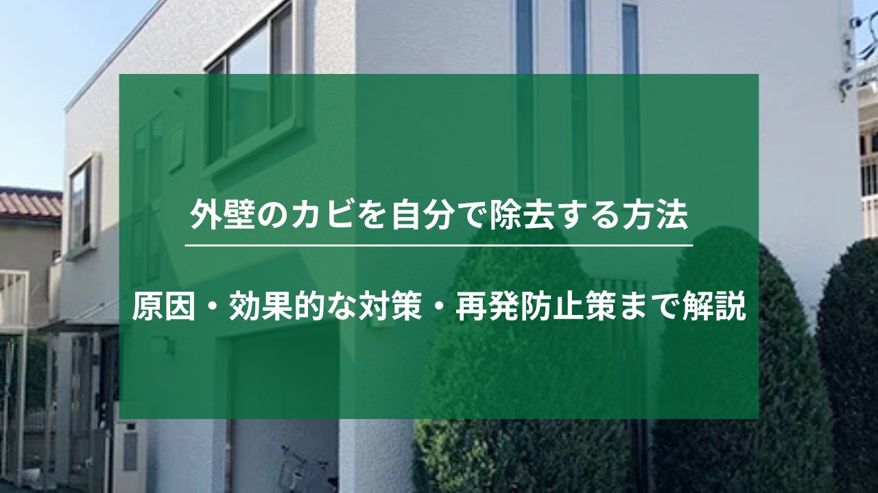 外壁のカビを自分で除去する方法｜原因・効果的な対策・再発防止策まで解説